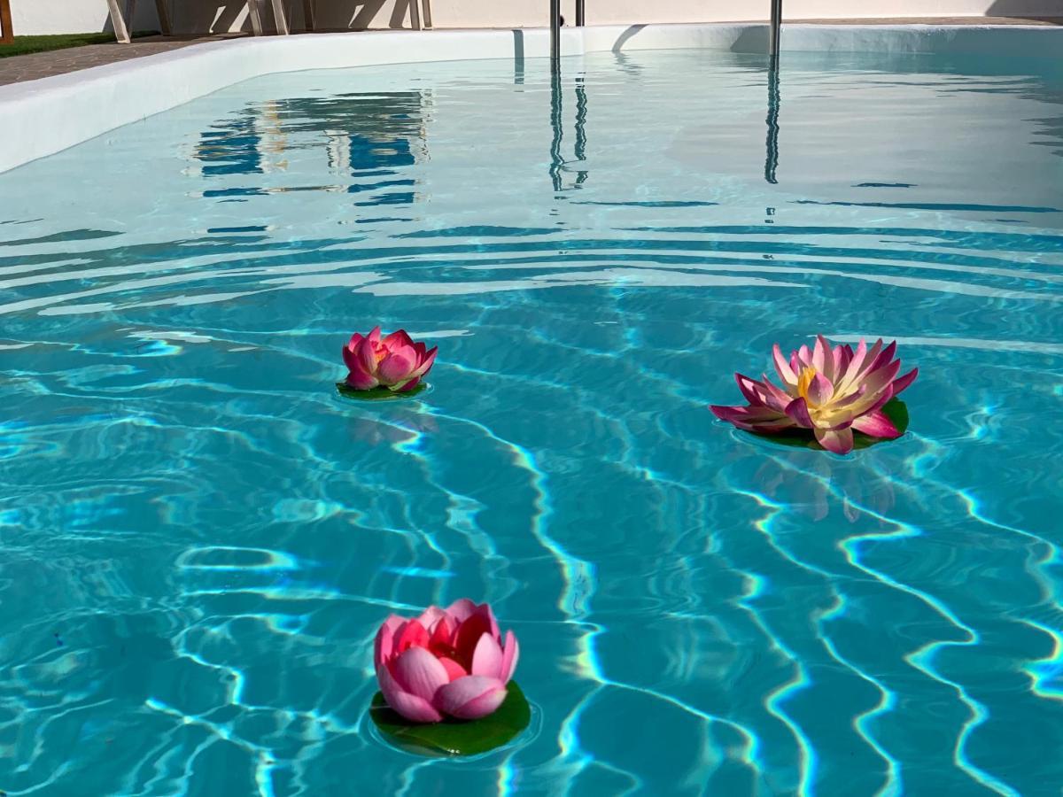 Pico Partido Villa Heated Pool Tinguaton Ngoại thất bức ảnh